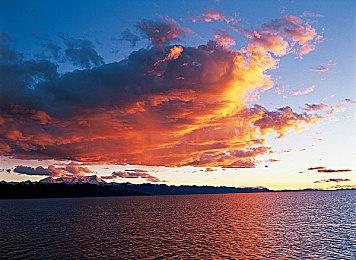 《电锯甜心RePOP》更新预告 “噩梦模式”4月上线